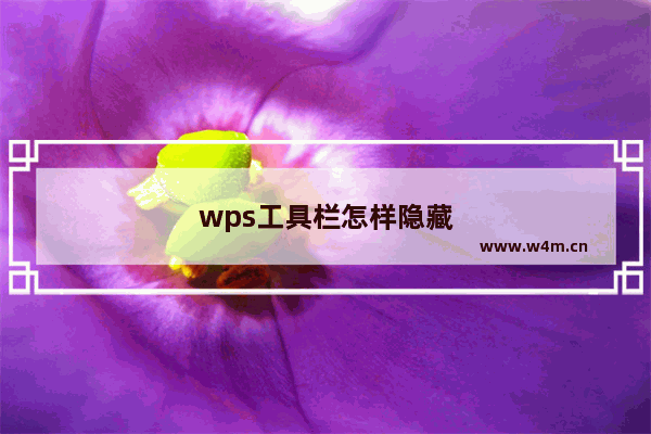 wps工具栏怎样隐藏