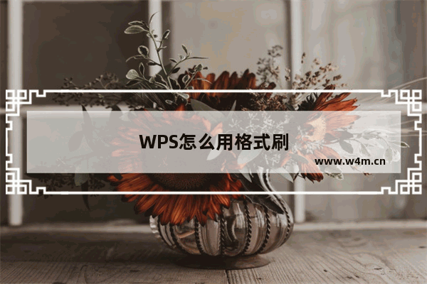 WPS怎么用格式刷