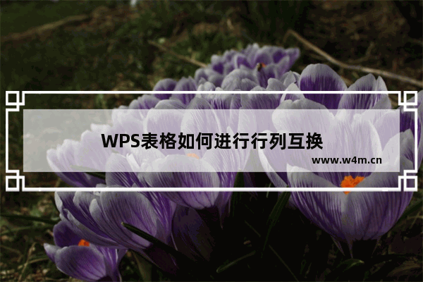 WPS表格如何进行行列互换