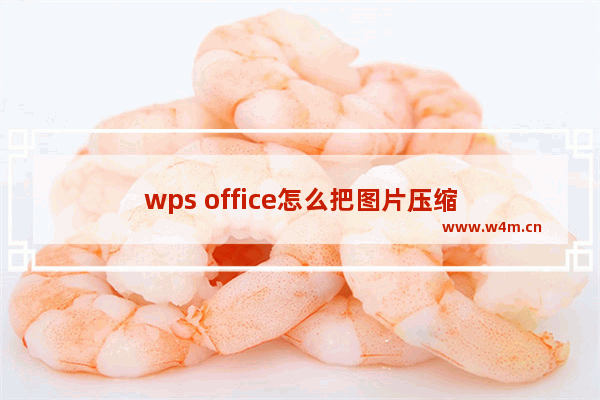 wps office怎么把图片压缩