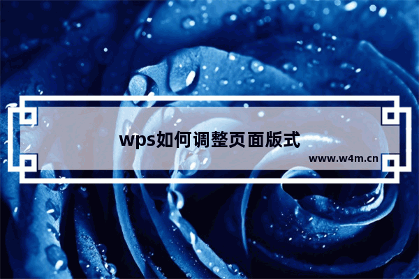 wps如何调整页面版式