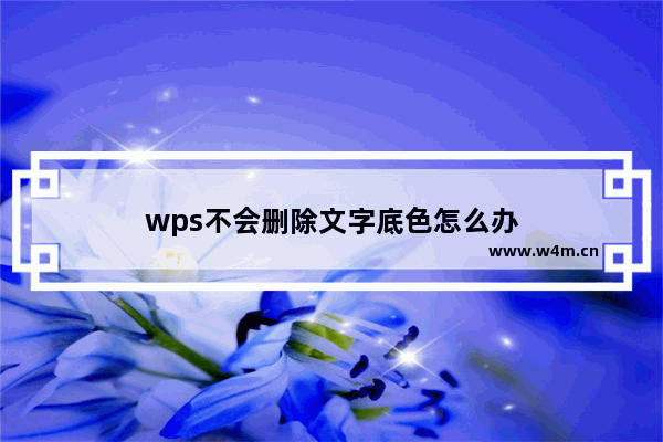 wps不会删除文字底色怎么办