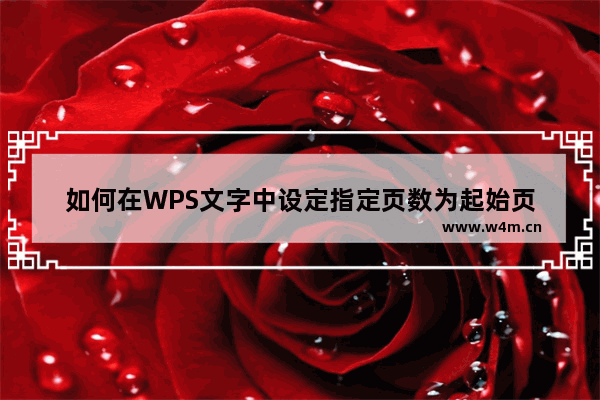 如何在WPS文字中设定指定页数为起始页