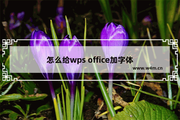 怎么给wps office加字体