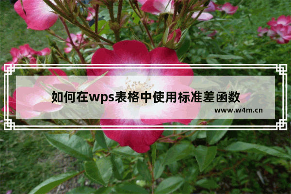 如何在wps表格中使用标准差函数