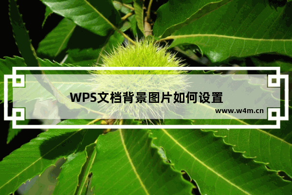 WPS文档背景图片如何设置