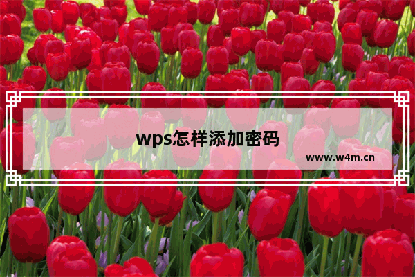 wps怎样添加密码