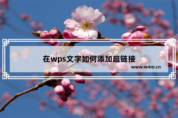 在wps文字如何添加超链接