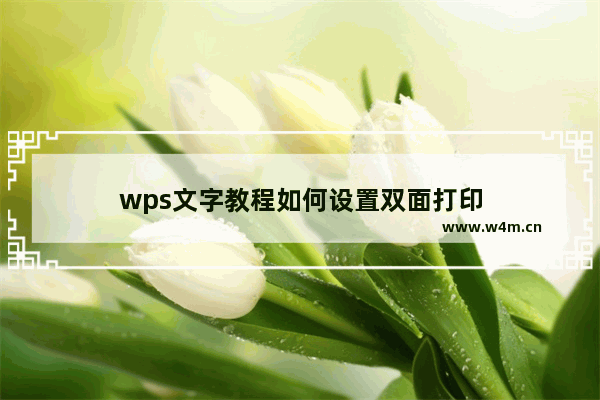 wps文字教程如何设置双面打印