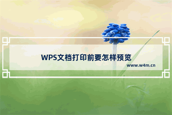 WPS文档打印前要怎样预览