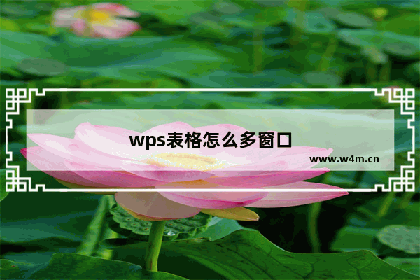 wps表格怎么多窗口