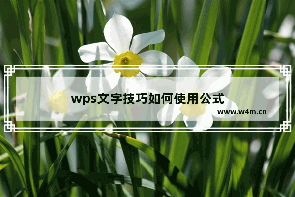 wps文字技巧如何使用公式