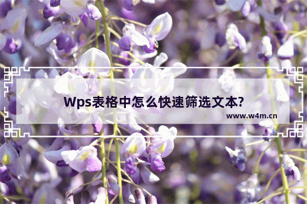 Wps表格中怎么快速筛选文本?