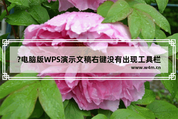 ?电脑版WPS演示文稿右键没有出现工具栏怎么办