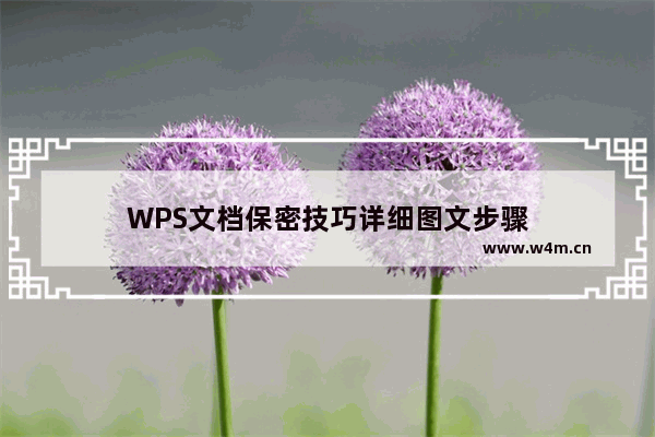 WPS文档保密技巧详细图文步骤