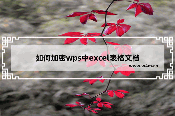 如何加密wps中excel表格文档