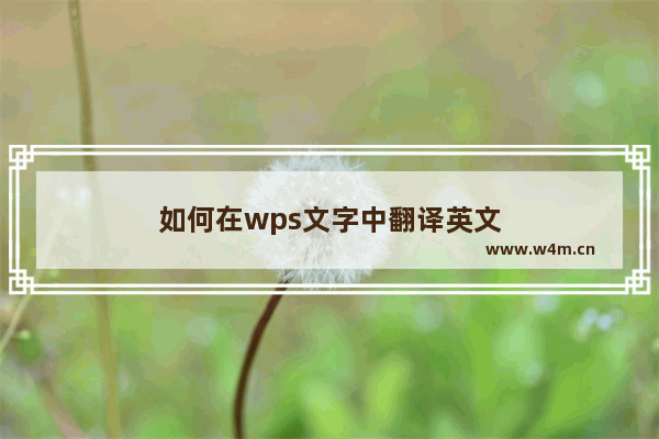 如何在wps文字中翻译英文