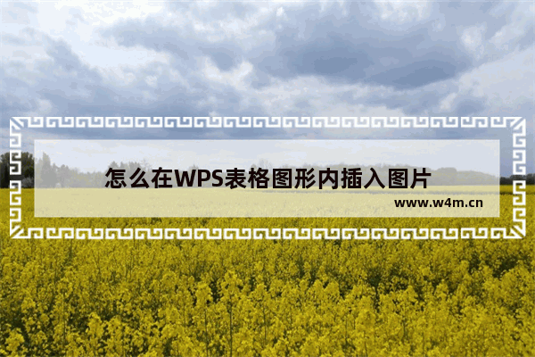 怎么在WPS表格图形内插入图片