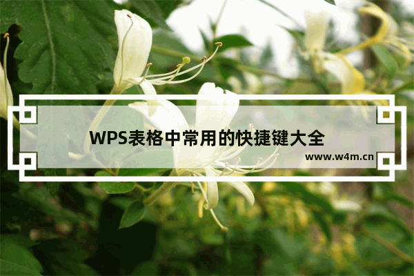 WPS表格中常用的快捷键大全