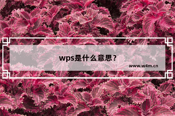 wps是什么意思？