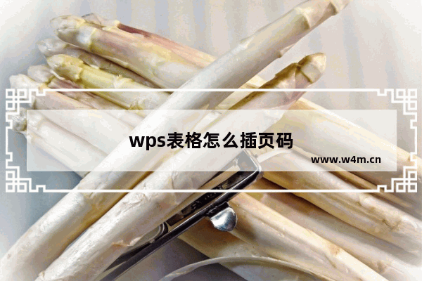 wps表格怎么插页码