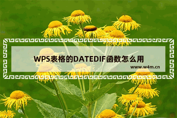 WPS表格的DATEDIF函数怎么用