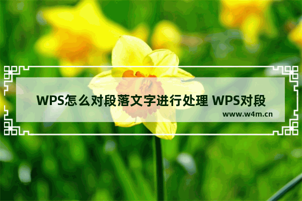 WPS怎么对段落文字进行处理 WPS对段落文字进行处理操作方法教学