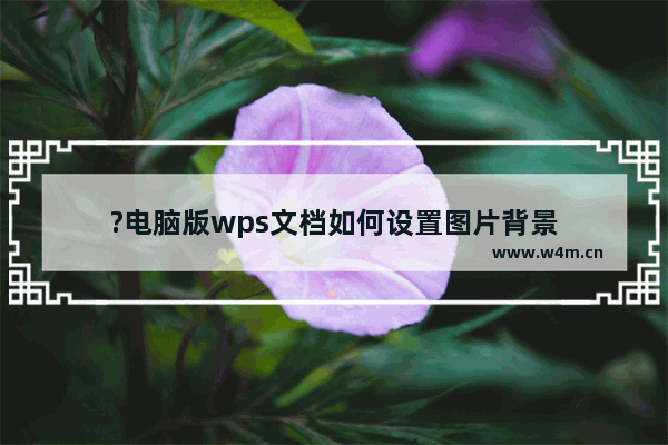 ?电脑版wps文档如何设置图片背景