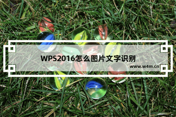 WPS2016怎么图片文字识别