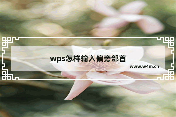 wps怎样输入偏旁部首