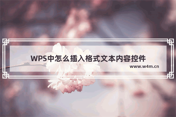 WPS中怎么插入格式文本内容控件