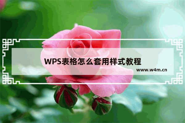 WPS表格怎么套用样式教程