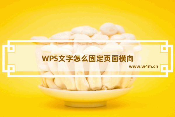 WPS文字怎么固定页面横向