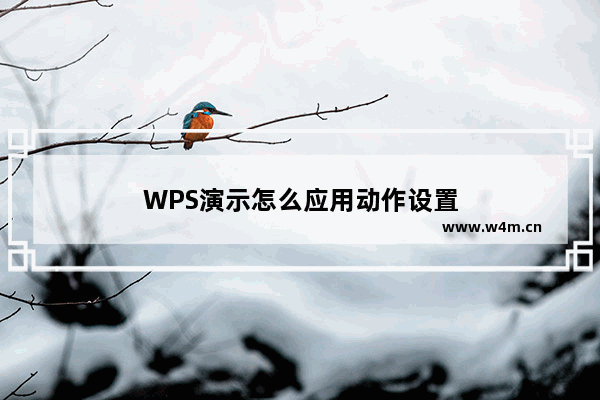 WPS演示怎么应用动作设置