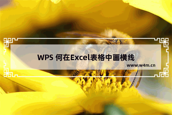 WPS 何在Excel表格中画横线