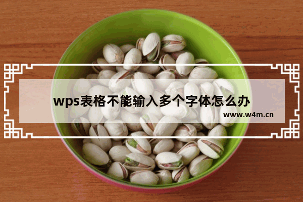 wps表格不能输入多个字体怎么办