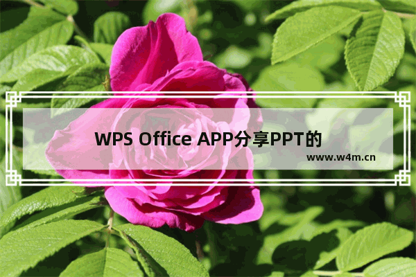 WPS Office APP分享PPT的操作方法