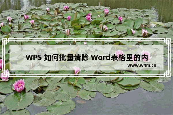 WPS 如何批量清除 Word表格里的内容