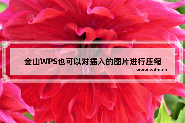 金山WPS也可以对插入的图片进行压缩