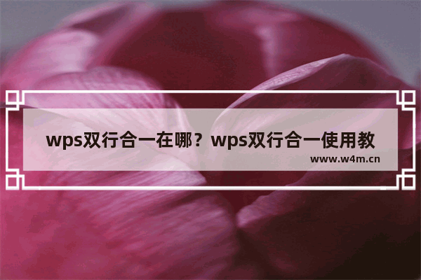 wps双行合一在哪？wps双行合一使用教程