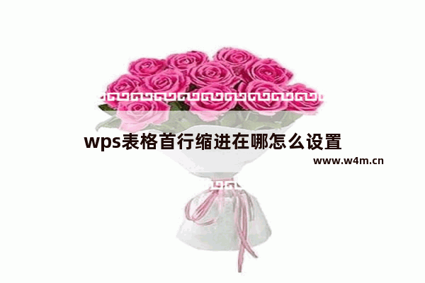 wps表格首行缩进在哪怎么设置