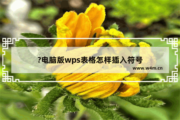 ?电脑版wps表格怎样插入符号