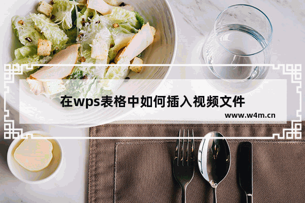 在wps表格中如何插入视频文件