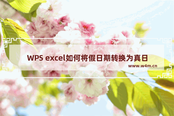 WPS excel如何将假日期转换为真日期的方法