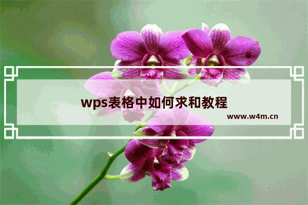 wps表格中如何求和教程