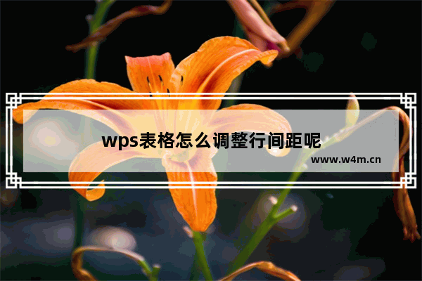 wps表格怎么调整行间距呢