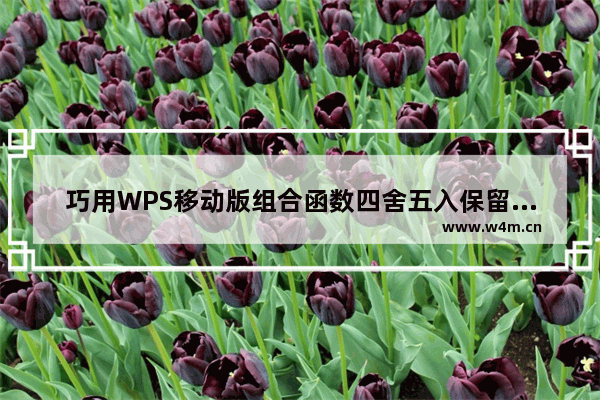 巧用WPS移动版组合函数四舍五入保留两位小数