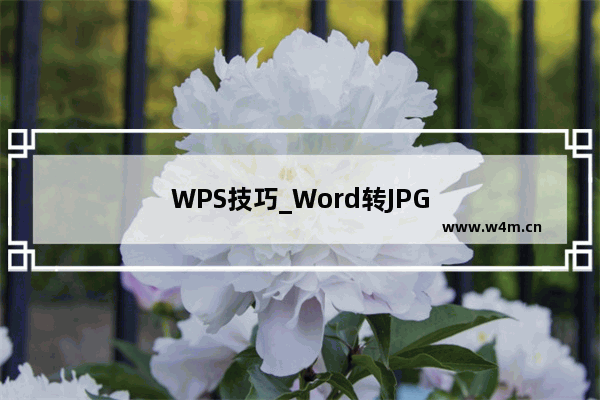 WPS技巧_Word转JPG