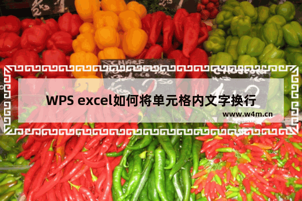 WPS excel如何将单元格内文字换行