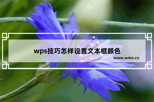 wps技巧怎样设置文本框颜色